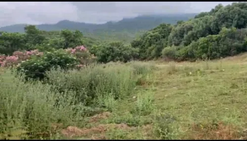 Vente Terrain Annaba Annaba