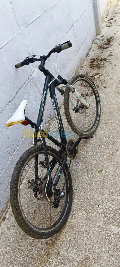 Velo kettler blaze