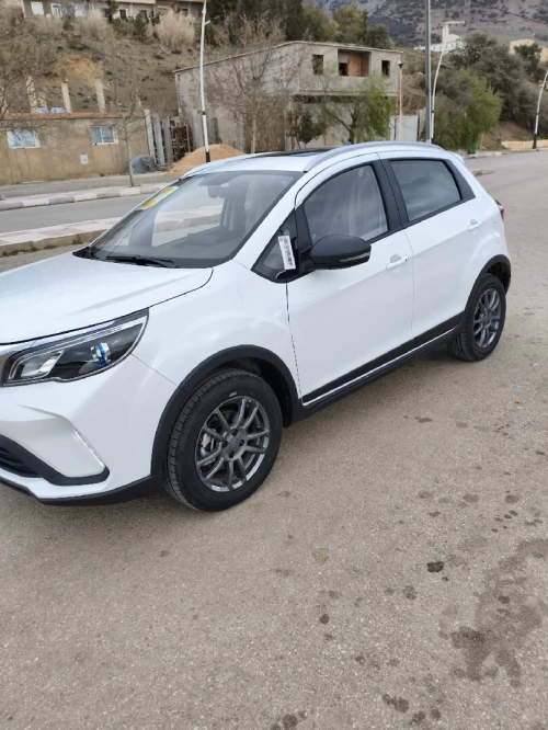 Livan X3 Pro  2025 Automatique (Avec toi ouvrant )
