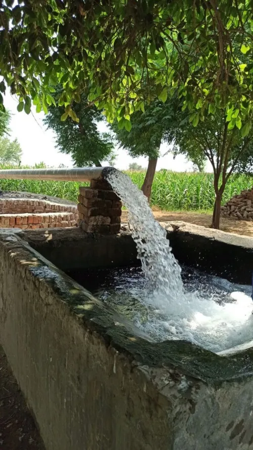 Vente Terrain Agricole Biskra Lioua