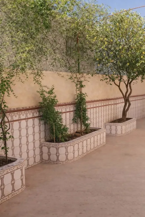 Vente Villa Blida Blida