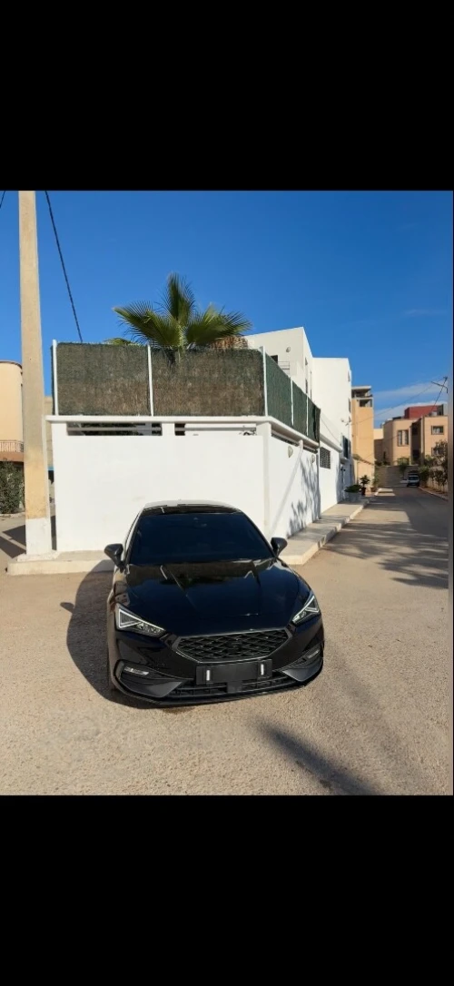 Seat FR Plus 2024 