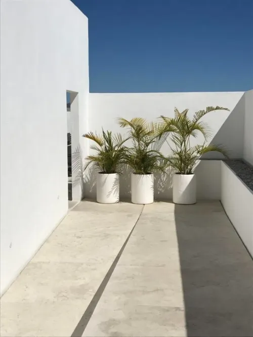 Location Villa Alger El mouradia