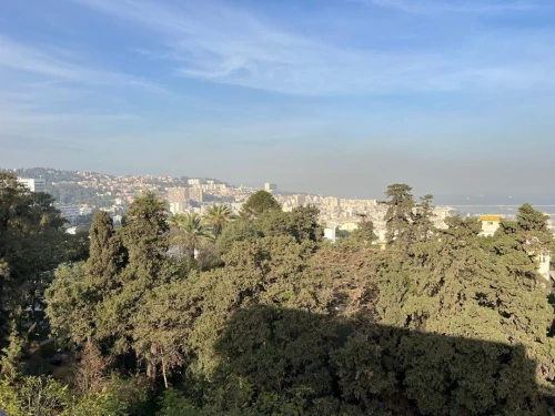 Location Appartement F4 Alger El mouradia