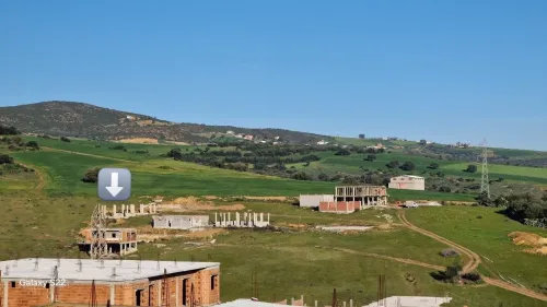 Vente Terrain Skikda Ramdane djamel