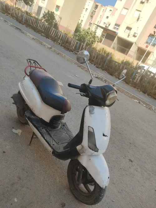 Sym Fiddel 2 2014
