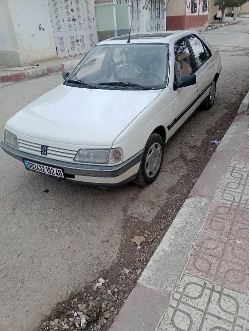 Peugeot 405 1992 405