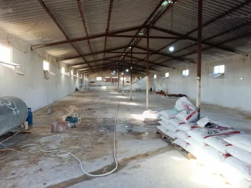 Vente Terrain Agricole Batna Chemora