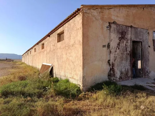 Vente Terrain Agricole Batna Chemora