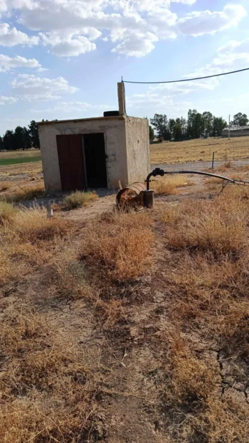 Vente Terrain Agricole Batna Chemora
