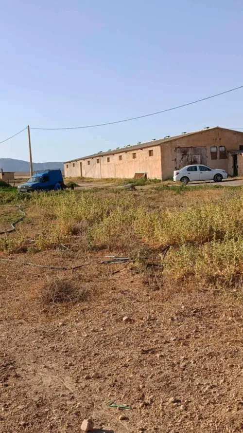 Vente Terrain Agricole Batna Chemora