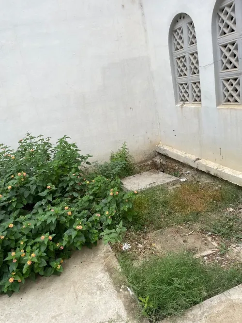 Vente Appartement F3 Skikda Skikda