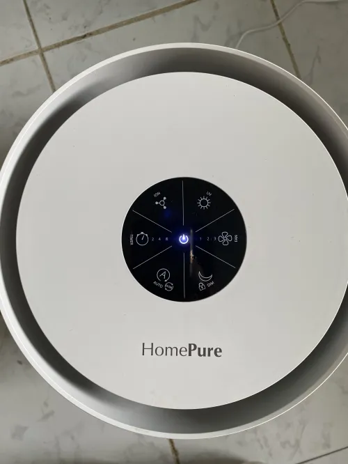 Home pure zayn