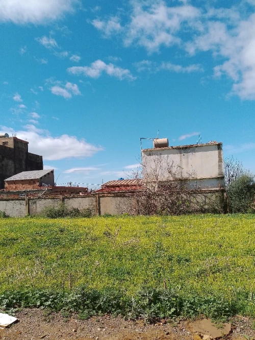 Location Boumerdès Khemis el khechna
