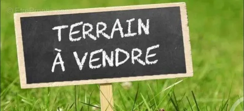 Vente Terrain Agricole Alger Ain taya