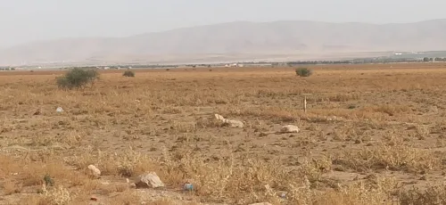 Vente Terrain Agricole Tiaret Ksar chellala