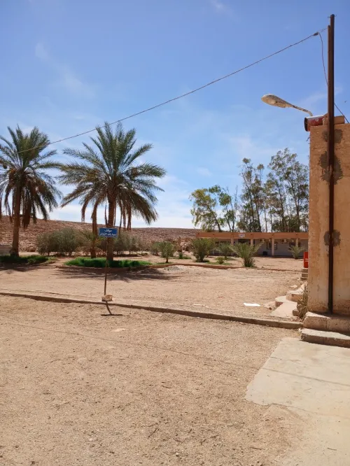 Vente Usine Ghardaïa Berriane