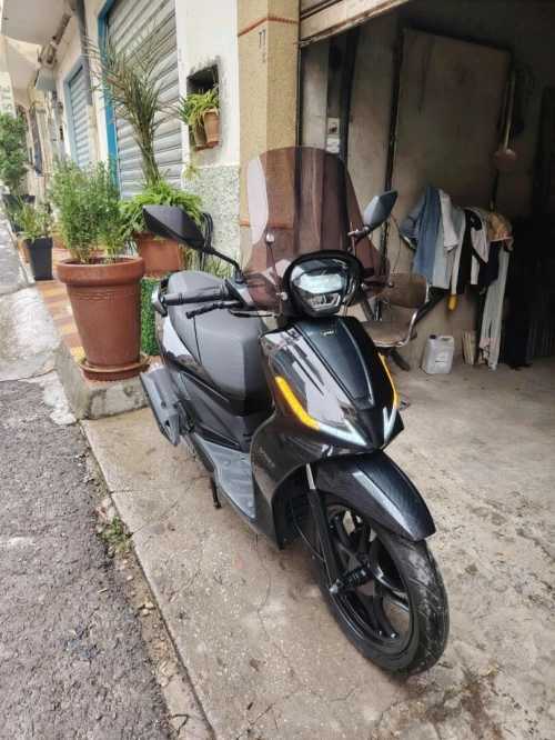 Coral Vms coral 2025