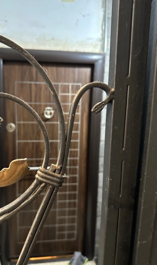 Vente Appartement F3 Alger Hammamet