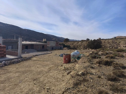 Vente Terrain Batna Teniet el abed