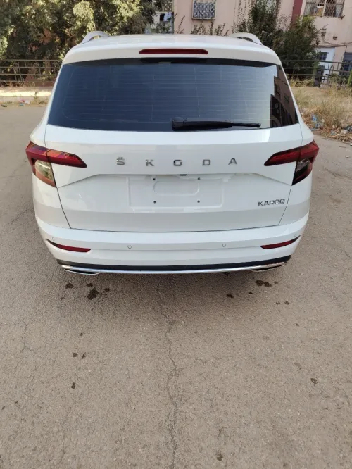 Skoda Karoq 2025 