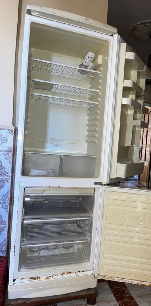 Frigo