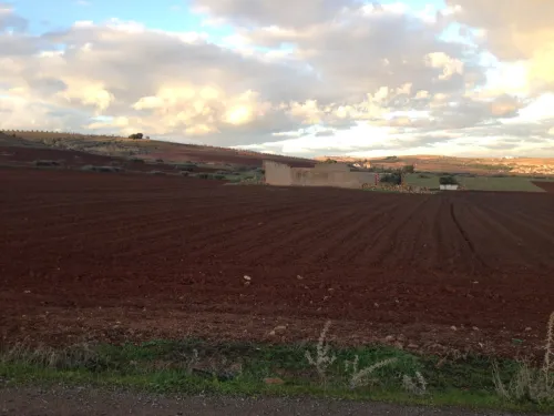 Vente Terrain Agricole Mascara El keurt