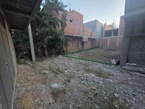 Vente Terrain Alger Les eucalyptus