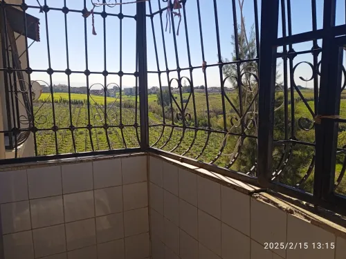 Location Appartement Boumerdès Corso
