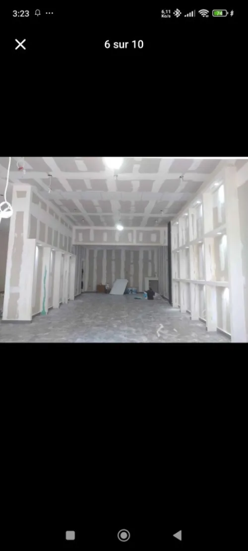 (peinture  maison +palaco+PVC(dico pro