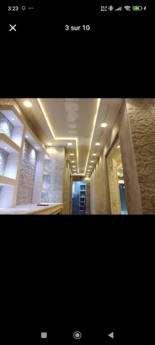 (peinture  maison +palaco+PVC(dico pro