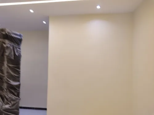 (peinture  maison +palaco+PVC(dico pro