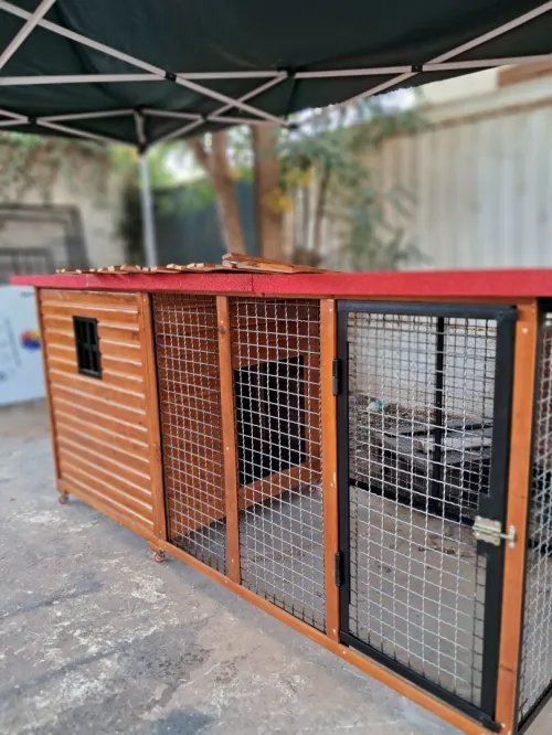 niche pour chien 