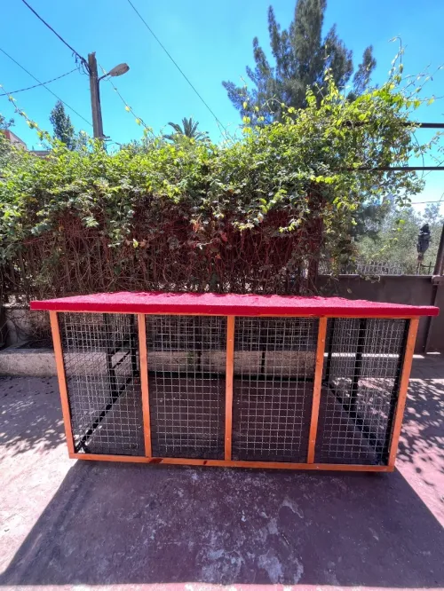 cage pour chien