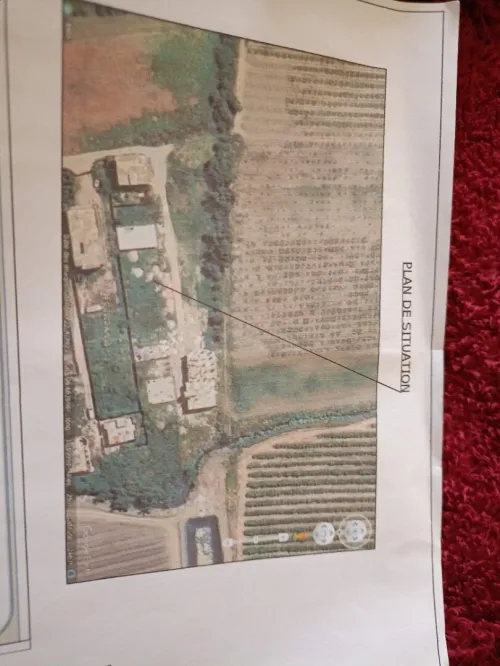 Vente Terrain Alger Les eucalyptus