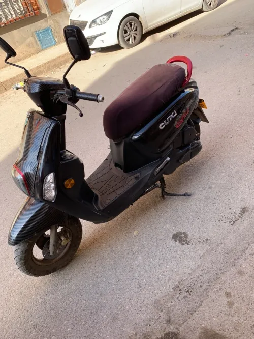 Vms Cuxi 2023