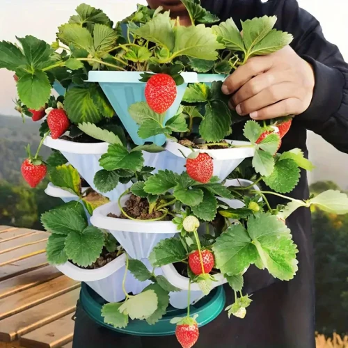 Pots multi-étagés أصيص متعدد الطوابق