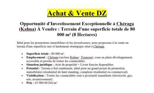Vente Terrain Alger Cheraga