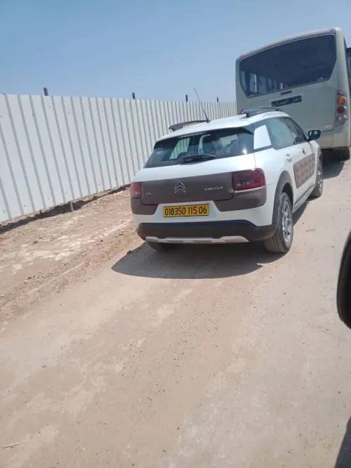 Citroen C4 Cactus 2015 C4 Cactus