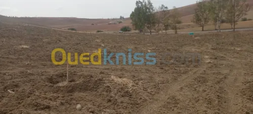 Vente Terrain Agricole Tlemcen Bensekrane