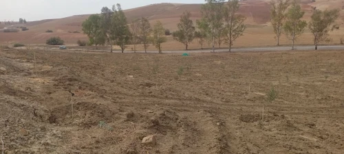 Vente Terrain Agricole Tlemcen Bensekrane