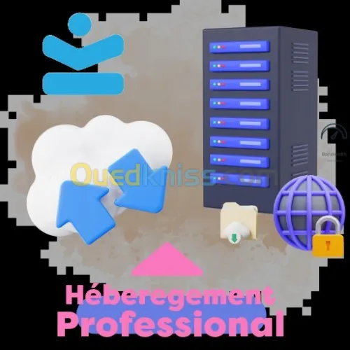 Hébergement Web Professionnel Solution Business