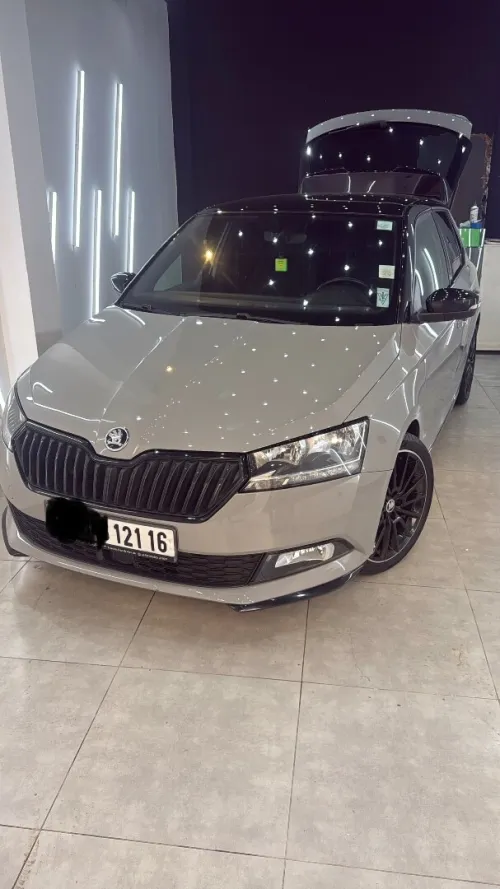 Skoda Fabia 2021 Monte Carlo