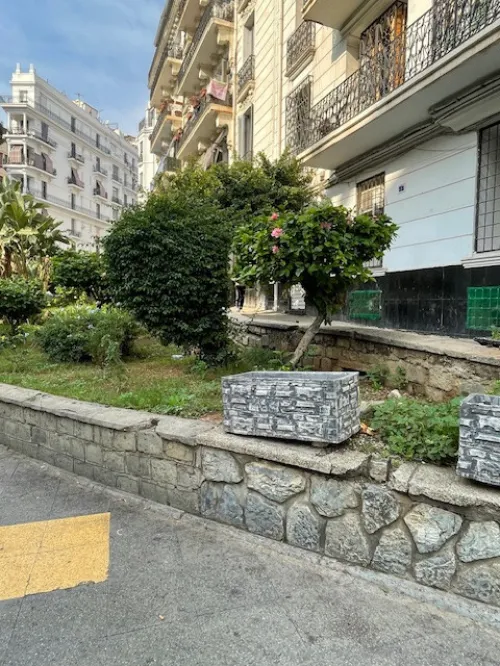 Location Local Alger Alger centre