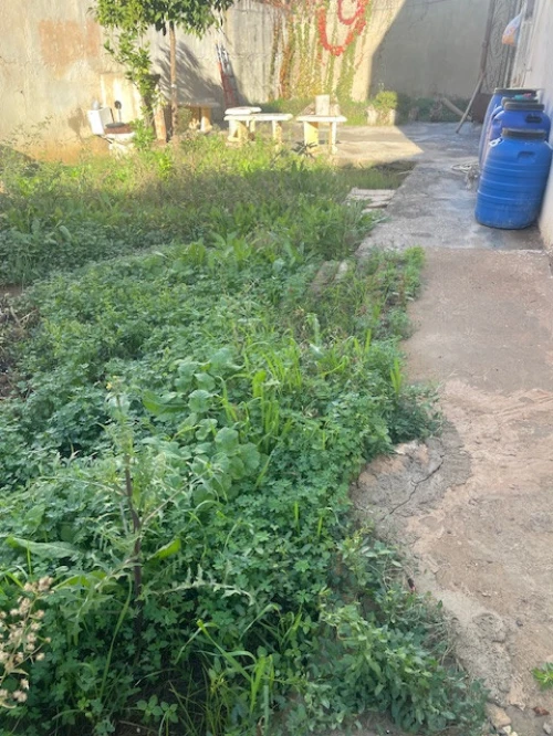 Vente Villa Alger El achour