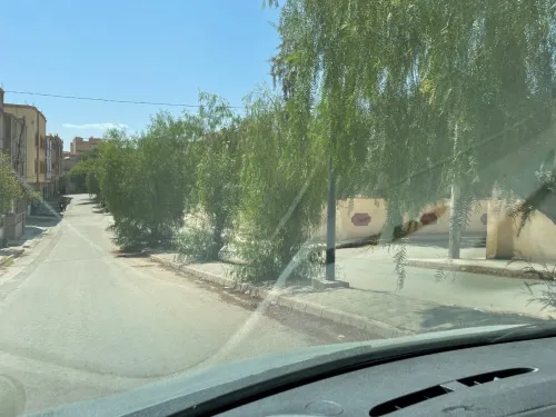 Vente Terrain Tlemcen Maghnia