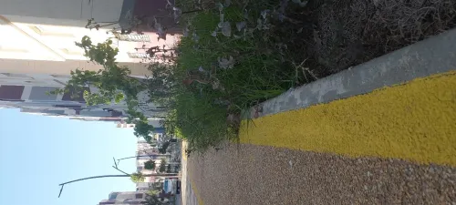 Location Appartement F3 Alger Zeralda