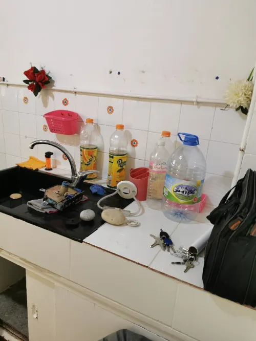 Location Appartement F3 Alger Bouzareah