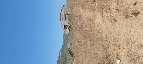 Vente Terrain Tipaza Cherchell
