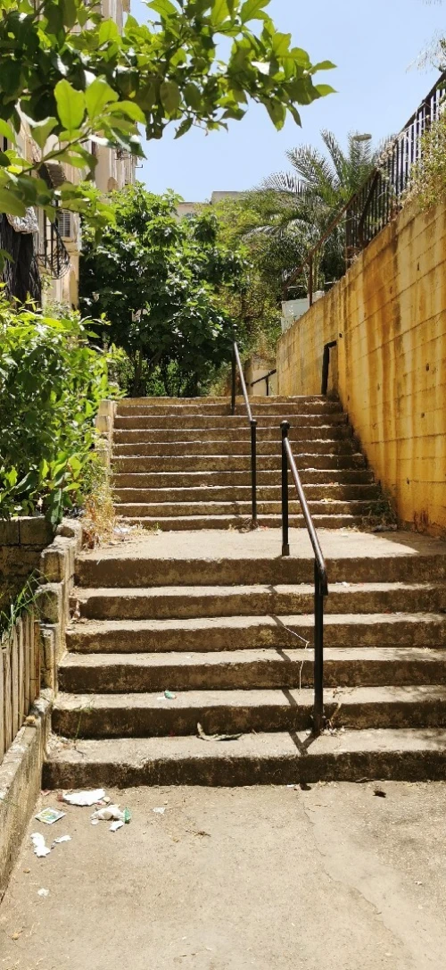 Location Appartement F3 Alger Draria